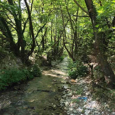Chalet Elatolithos Zarouchla