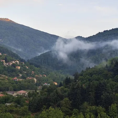 Chalet Elatolithos Zarouchla